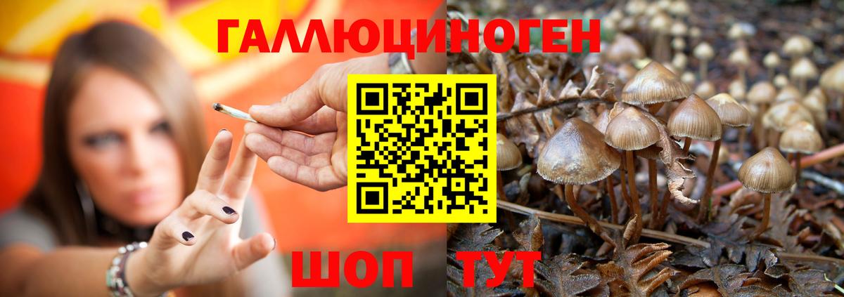 Псилоцибиновые грибы мицелий  Галлюциногенные грибы прущие грибы  Ливны  Вход с VPN 